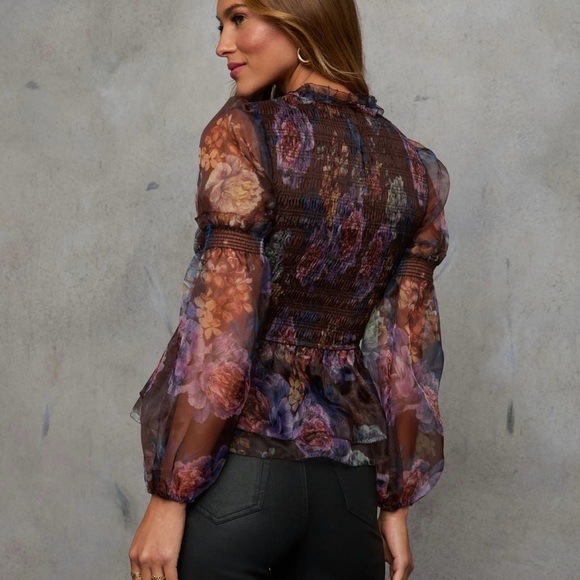 Vici  Multicolor Floral Sheer Blouse 🍂🍁 - Picture 3 of 4